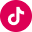 logo-tiktok